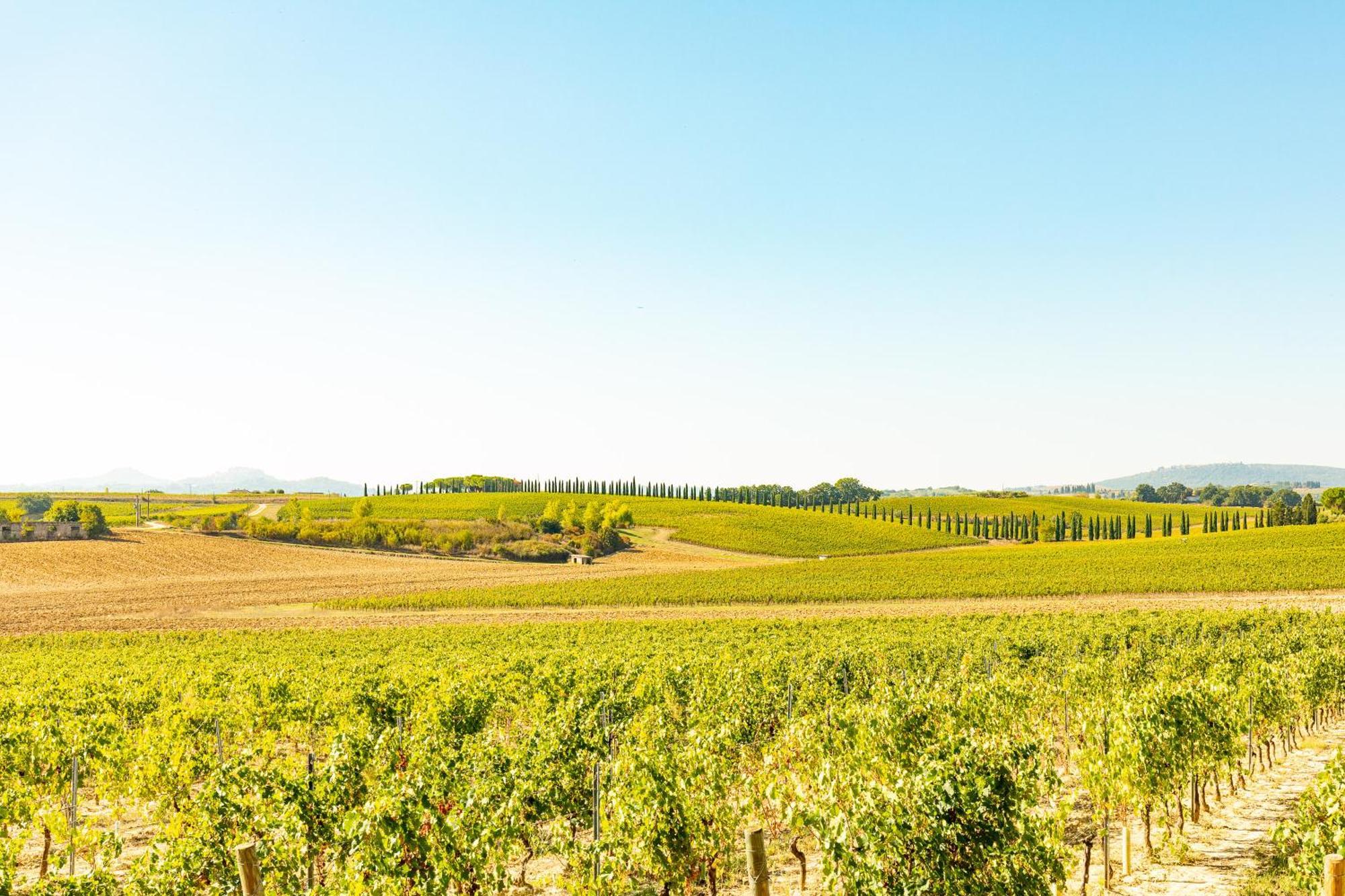 Appartamento Greppino Montepulciano Stazione Esterno foto