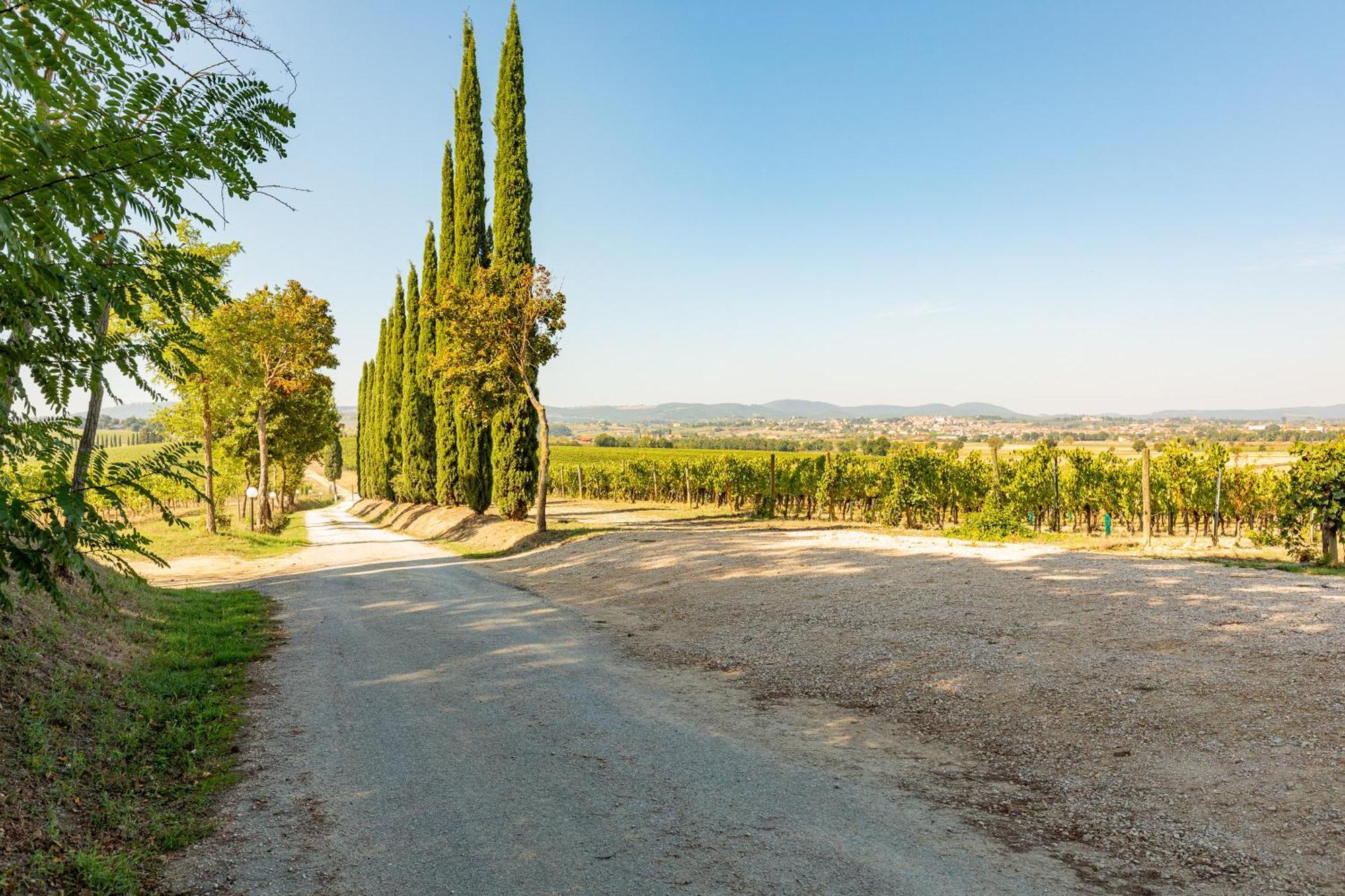 Appartamento Greppino Montepulciano Stazione Esterno foto