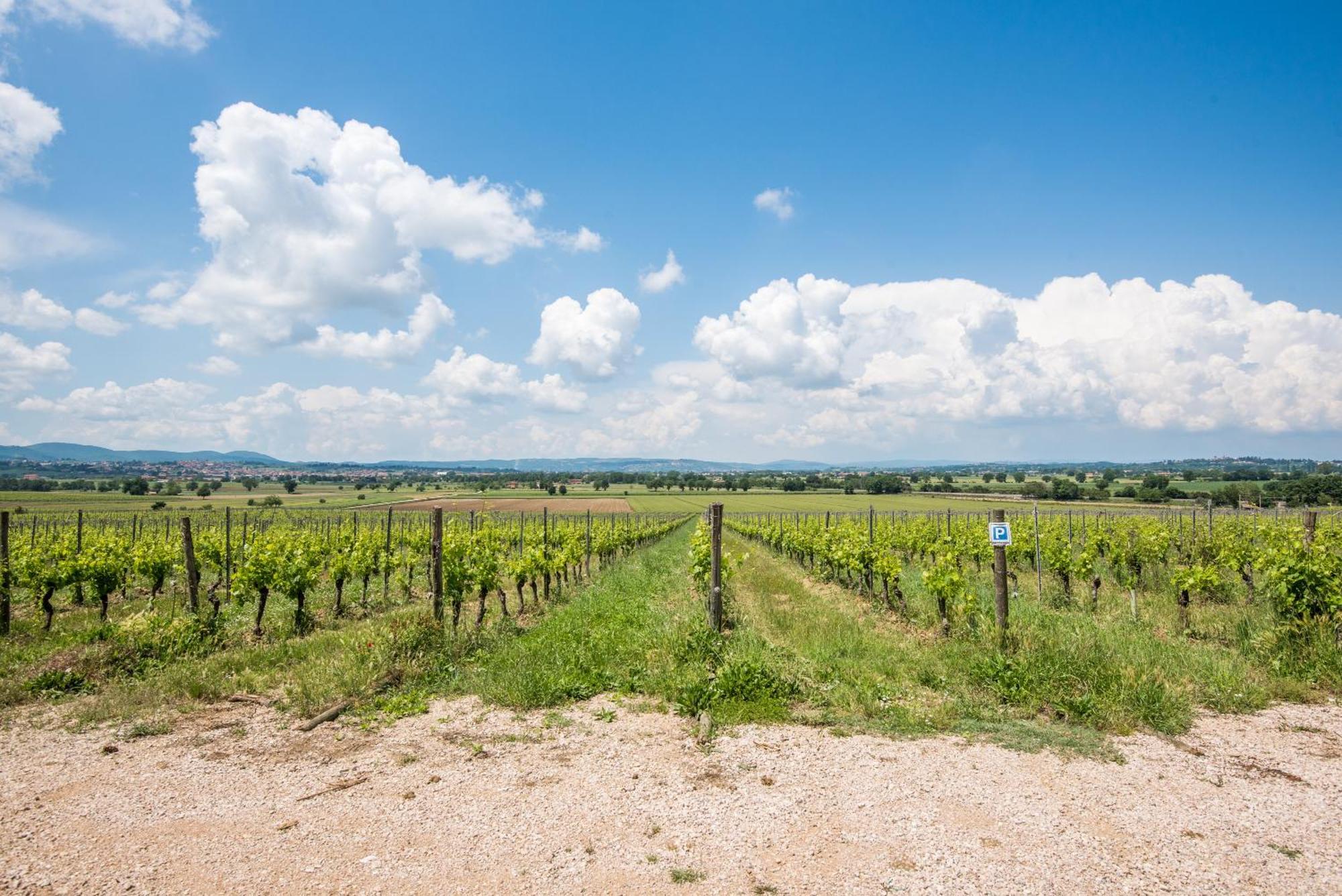 Appartamento Greppino Montepulciano Stazione Esterno foto